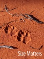 Little Bits of Outback - Australia - Very small colours on a very large canvas